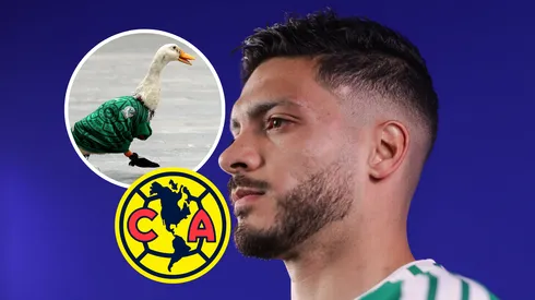¡El fanático número uno!