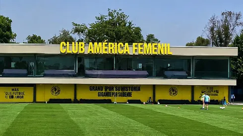 ¡Trabajan fuertemente!