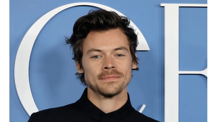 El músico Harry Styles