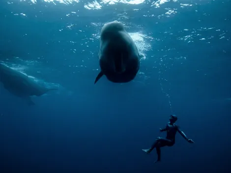 Inmersión sin Salida: el polémico documental que Netflix lanzó a propósito de Titán