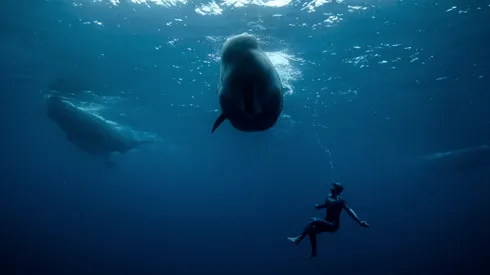 No se trata del Titán, pero su promoción generó polémica: Inmersión sin Salida