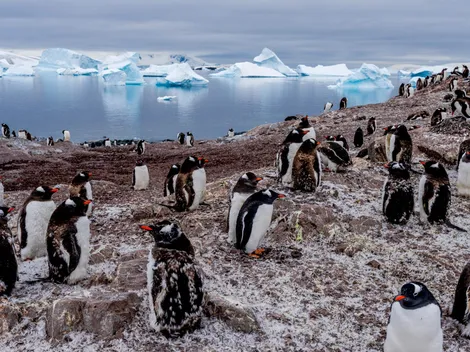 Netflix: la serie documental que estrena su temporada 2 tras cuatro años