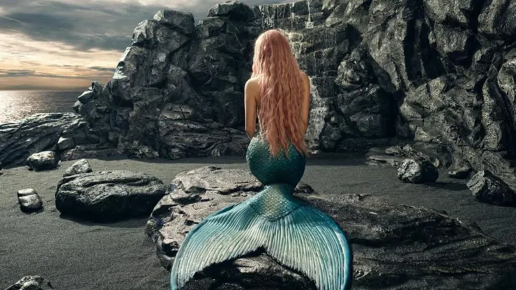 Esta foto de Shakira ha enloquecido a sus seguidores en redes sociales.