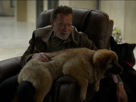 ¿Cuándo se estrena Arnold, la serie de Schwarzenegger en Netflix y cuántos episodios tiene?