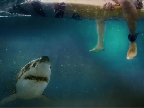 ¿De qué trata 'After the bite' de HBO Max?