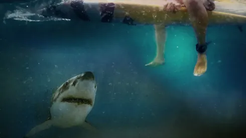 'After the bite' de HBO Max