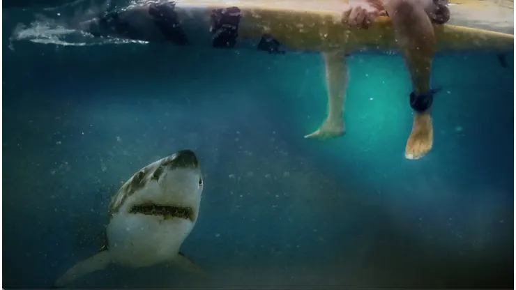 'After the bite' de HBO Max
