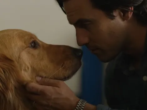 ¿Mi amigo Enzo está en Netflix, HBO Max, Prime Video o Disney+?: Descubre aquí dónde ver esta tierna historia