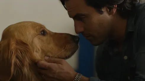 Milo Ventimiglia estelariza esta cinta que acaba de llegar al streaming.