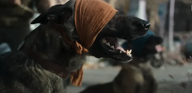 Imagen: @NetflixLATAM