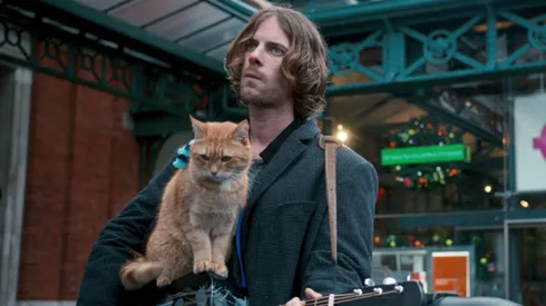 En qué streaming está Un gato callejero llamado Bob.