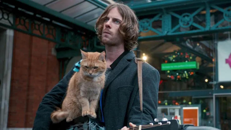 En qué streaming está Un gato callejero llamado Bob.