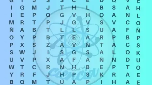 Solo para ASTRONAUTAS: encuentra la palabra NASA en 7 segundos