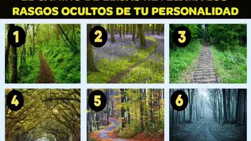 Elige un camino y descubre RASGOS OCULTOS de tu personalidad