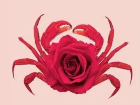 Test visual: lo primero que veas HABLA DE TI