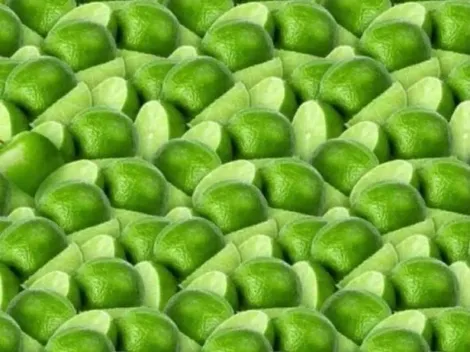 Solo para INVESTIGADORES: encuentra la MANZANA OCULTA en la imagen