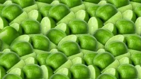 Solo para INVESTIGADORES: encuentra la MANZANA OCULTA en la imagen