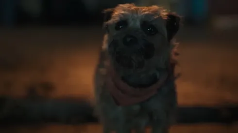 Reggie tiene en inglés la voz de Will Ferrel, mientras que en español su voz la hace Ricardo O’Farrill.