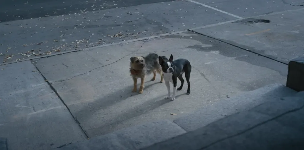 Imagen: @sensacinetrailers.