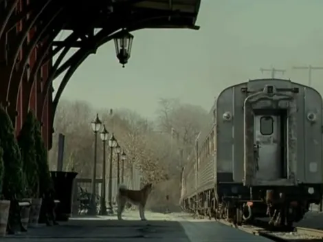 Te decimos si la película de Hachiko está en Netflix para que prepares los pañuelos