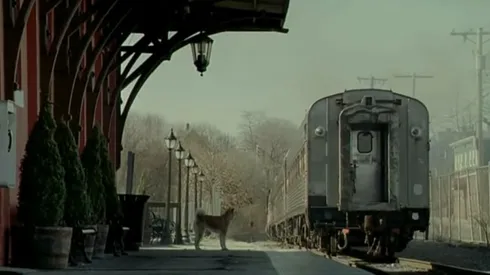 La historia de Hachiko es una de las más conmovedoras que existen y ya la puedes ver desde casa.