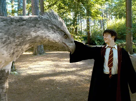 ¿Harry Potter vuelve al cine en 2023?