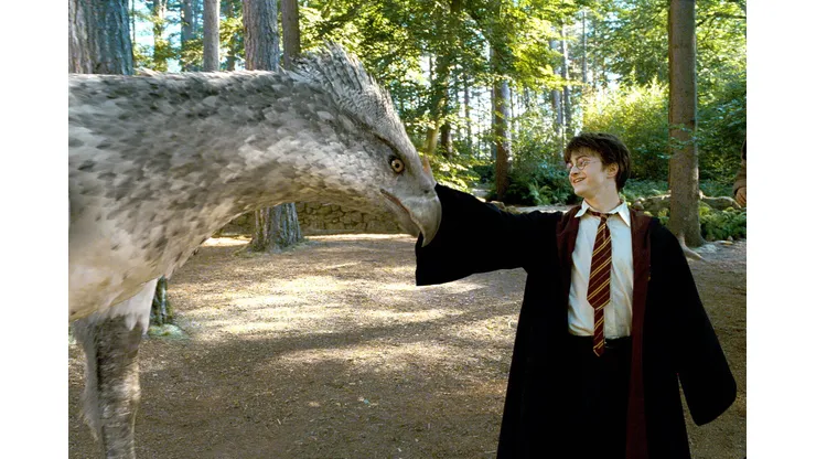 ¿Harry Potter vuelve al cine en 2023?