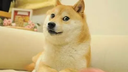 Se confirmó el fallecimiento de Balltze.