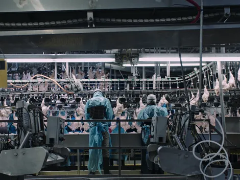 Netflix: el documental más visto a nivel mundial a 3 días de su estreno