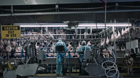 El documentla más visto dura menos de hora y media.