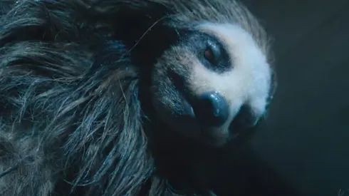 Alfa, el perezoso asesino protagonista de Slotherhouse.