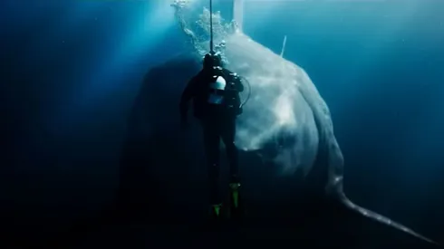 En esta ocasión el Megalodón no estará solo, ya que otras criaturas asolarán la Tierra junto con él.