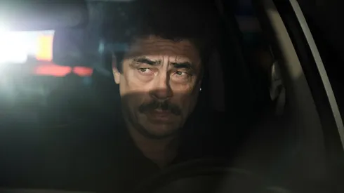 Todo lo que debes saber de Reptiles.