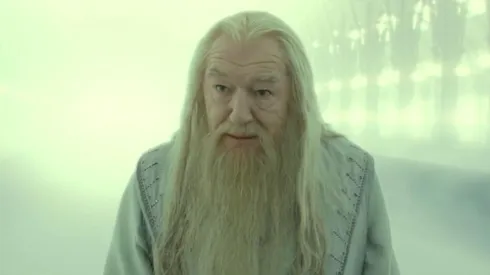 Quién será Dumbledore en la serie Harry Potter.