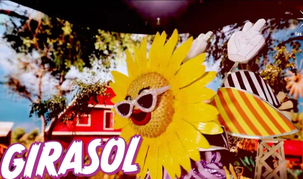 Instagram @quieneslamascara