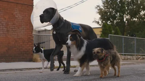 La película es una de las comedias más recientes