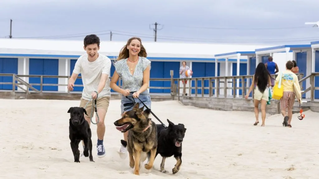 Hazme el Favor oficialmente tiene plataforma de streaming en la que será estrenada y te decimos cuál