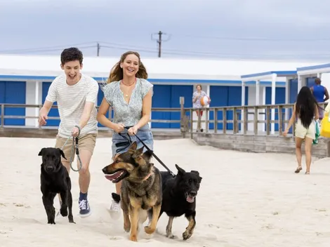 Hazme el Favor llega a esta plataforma de streaming ¿Es Netflix?