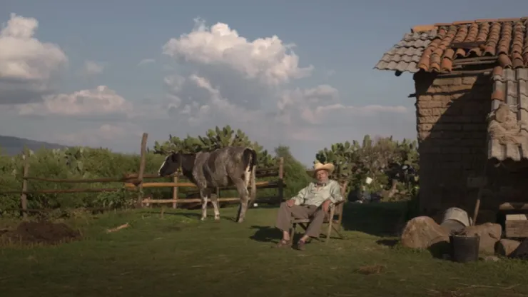 Una producción mexicana le hizo frente a una cinta de Adam Sandler y aquí te decimos de qué película se trata.