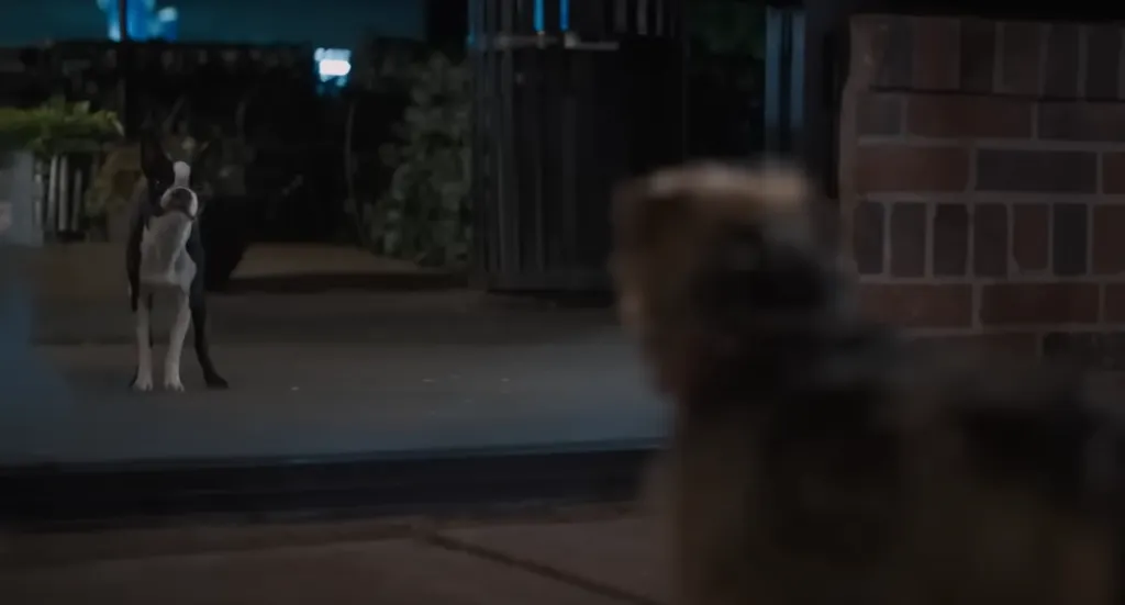 Imagen: @TrailersInSpanish.