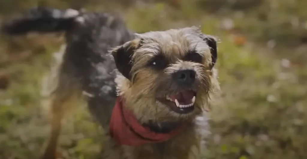 Imagen: @TrailersInSpanish.