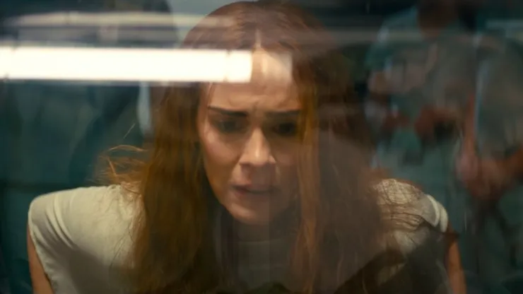 Sarah Paulson brinda una gran actuación en esta película con su personaje de Diane Sherman.
