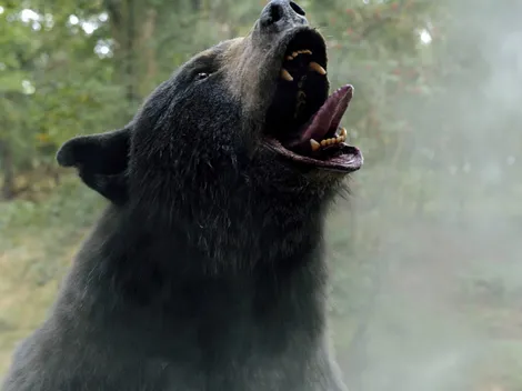 Así es la historia real de Cocaine Bear