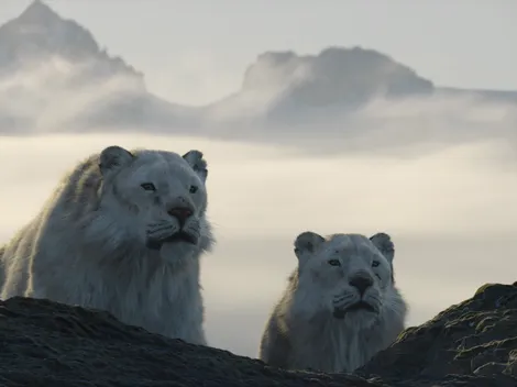 La vida en nuestro planeta: de qué trata, cuántos capítulos tiene y cuál es el reparto