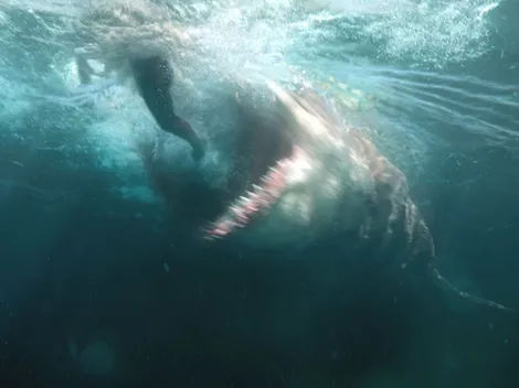 HBO Max: la película que lidera el Top 10 mundial