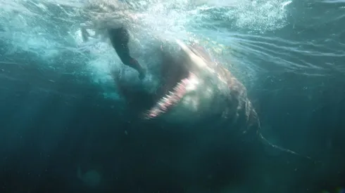 La película #1 de HBO Max actualmente.