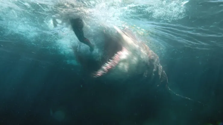 La película #1 de HBO Max actualmente.
