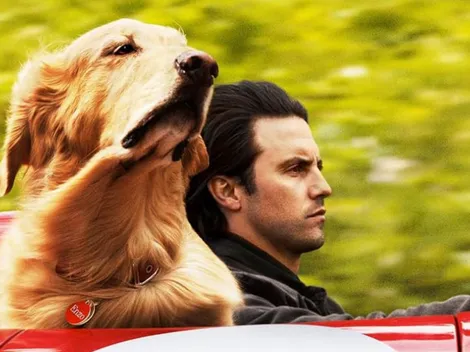 ¿En qué plataforma está Mi amigo Enzo?