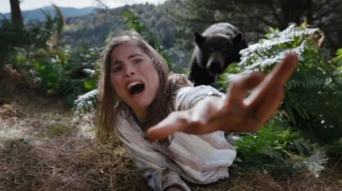 'Oso intoxicado' se inspiró en un caso real