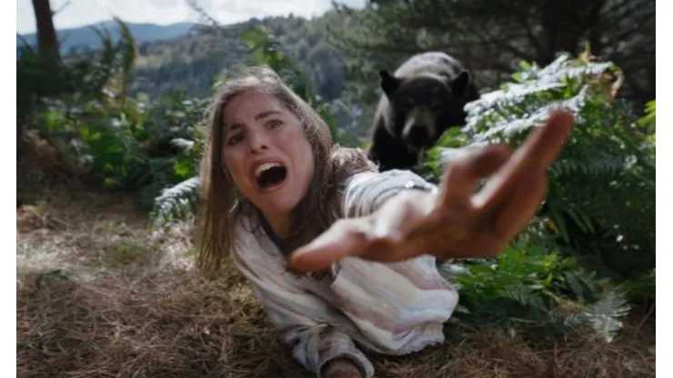 'Oso intoxicado' se inspiró en un caso real
